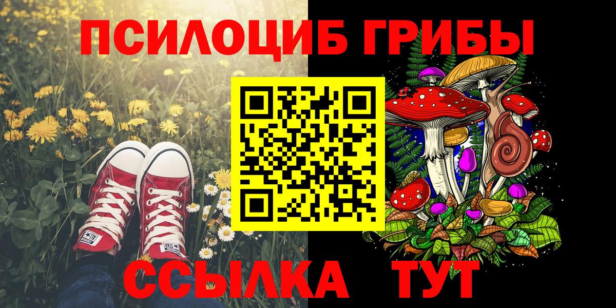 Псилоцибиновые грибы мухоморы Лесозаводск