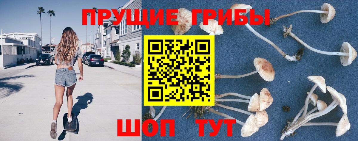 Лесозаводск  Галлюциногенные грибы мухоморы  Вход с VPN 
